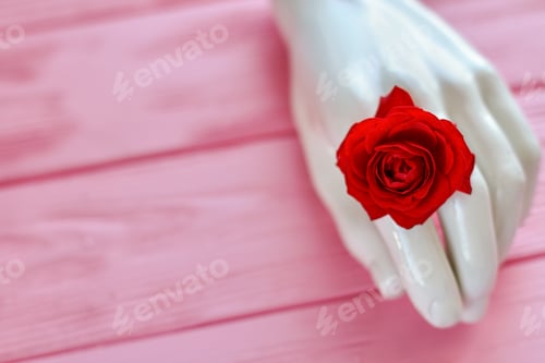 Preview: Close up white mannequin hand with rose flower.