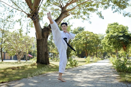 Preview: Sportsman Practicing Front Kick