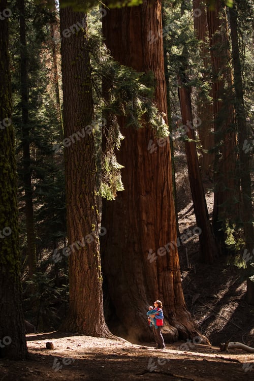 Preview: Mother With Infant Visit Sequoia National Park In California, Usa