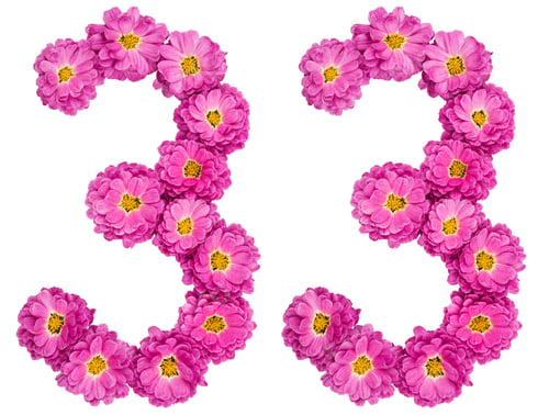 Preview: Arabic numeral 33, thirty three, from flowers of chrysanthemum, isolated on white background