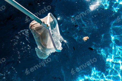 Preview: Pool Net Leaf Skimmer Rake in summer.