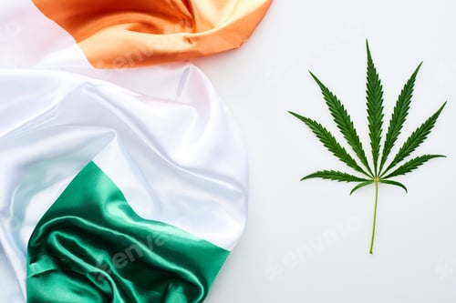 Preview: top view of green cannabis leaf near flag of Ireland on white background