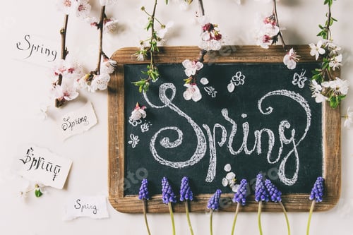 Preview: Spring blossom flowers