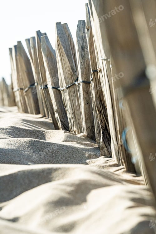 Preview: Vertical shot of wooden sticks stuck in the sand on a beach
