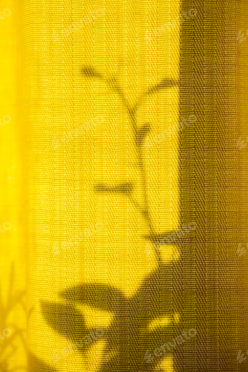 Vorschau: Unusual shadows and silhouettes from plants on yellow textiles. Trendy abstract background.