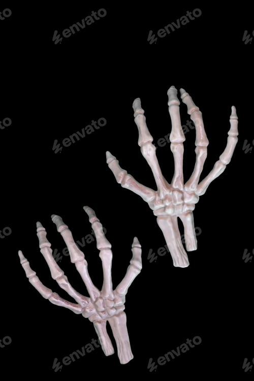 Preview: Skeleton hands isolated cutout