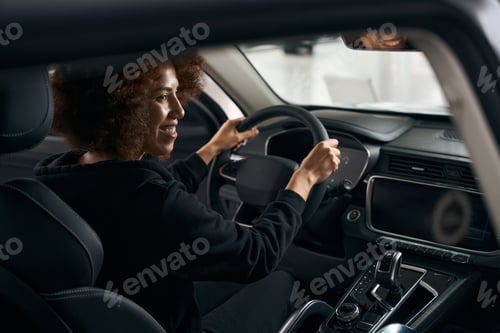 Preview: Smiling multiracial driver sits behind the wheel in modern car