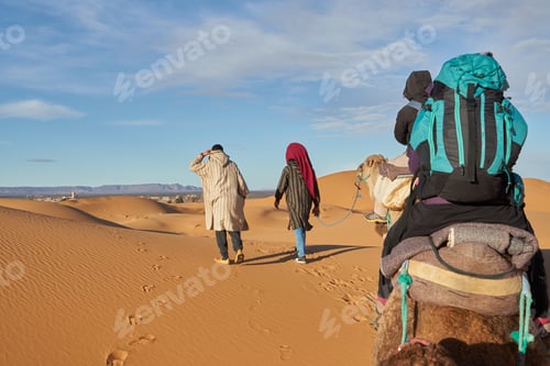 Preview: Camels and people going in desert