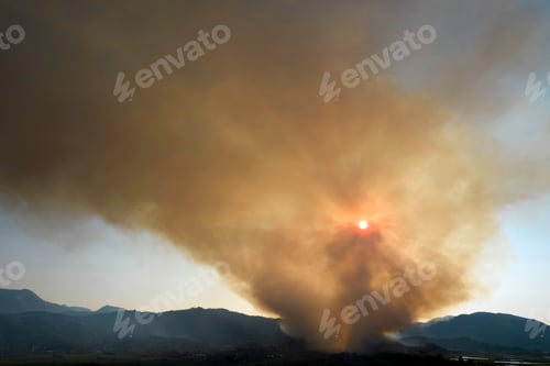 Preview: Large column of smoke from a forest fire