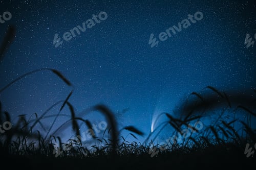 Preview: Belarus. 17 July 2020. Comet Neowise C 2020 F3 Shines Bright In The Night Starry Sky Above Young