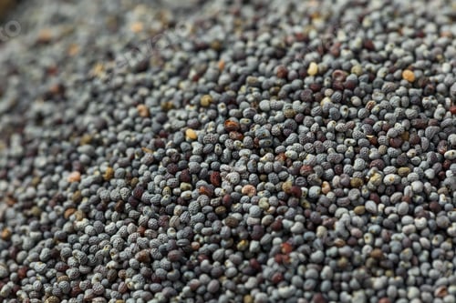 Preview: Organic Raw Dry Poppyseeds