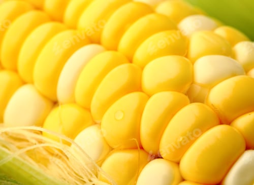 Preview: corn
