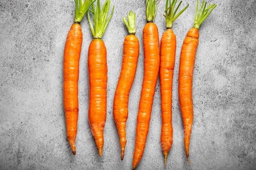Preview: Fresh raw organic farm carrots with leafs arranged on grey rustic stone background top view, healthy