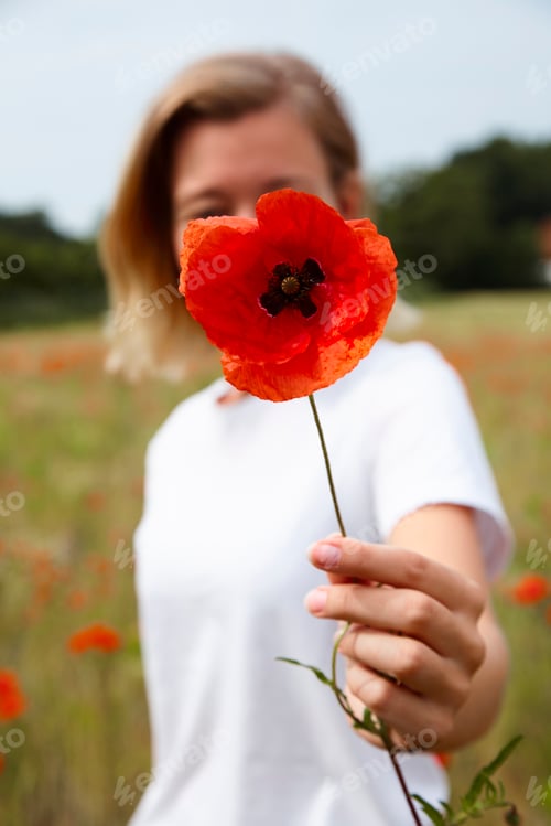 Preview: Smiling woman holding a bright poppy flower in a field