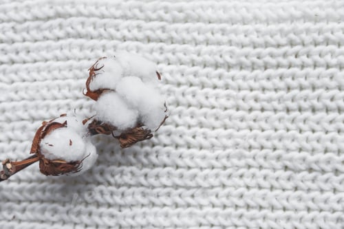 Preview: Cotton Flower with knitted cap and scarf, flat lay on marble background, winter style