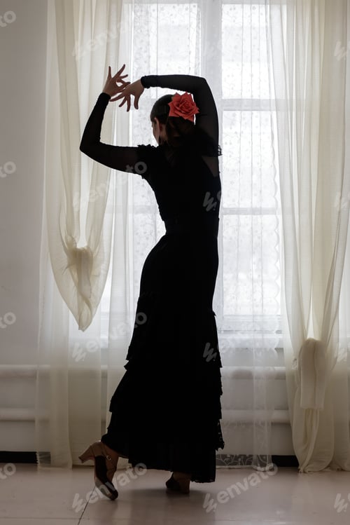 Preview: Beautiful silhouette of a girl in a long black dress and a red rose in her hair dancing flamenco