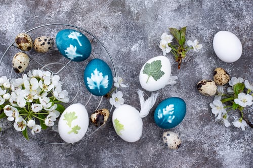 Preview: Easter blue eggs painted of natural dye