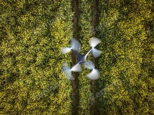 Preview: Bird's Eye View of a Drone Flying Over a Farm