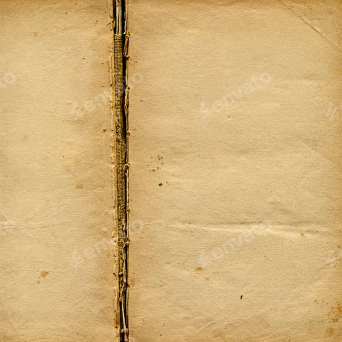 Preview: Vintage open book with aged blank pages and damaged spin.