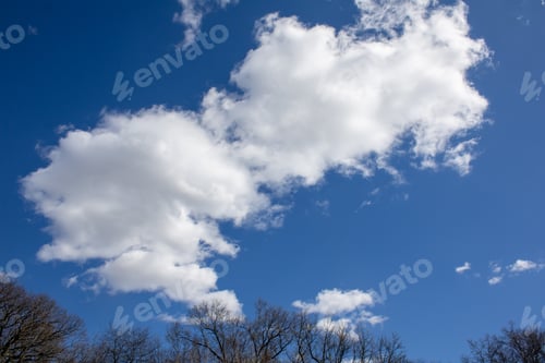 Preview: Clouds hovering above trees against a blue sky