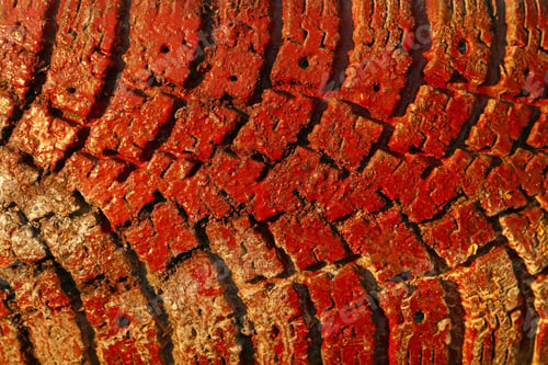 Preview: Red painted truck tire grunge texture background