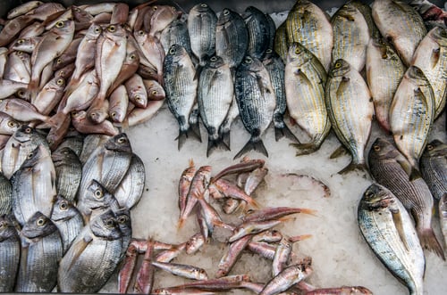 Preview: Raw fish market. Seafood healthy fish market.