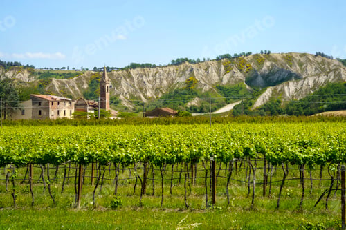 Preview: Rural landscape on the hills near Riolo Terme and Brisighella