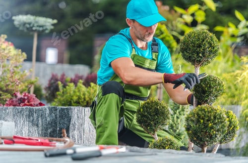 Preview: Decorative Plants Trimming