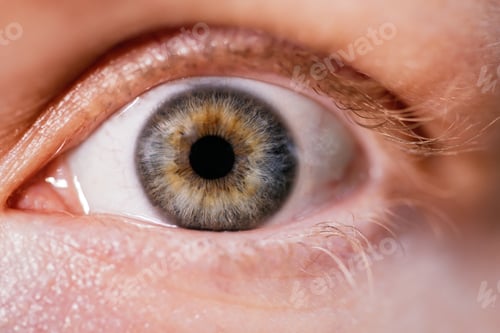 Preview: Macro photo of human child eye looking at the side.