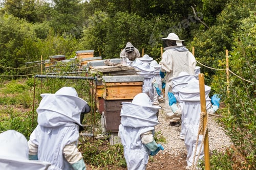 Preview: Children and beekeepers in apiary