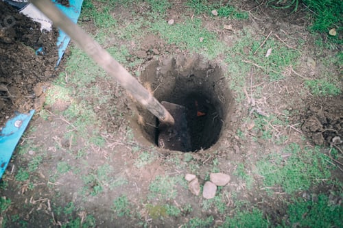 Preview: Digging hole with a shovel before planing tree