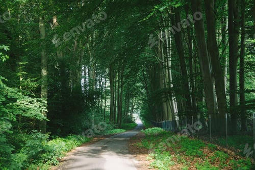 Preview: road through park with beautiful trees in Hamburg, Germany