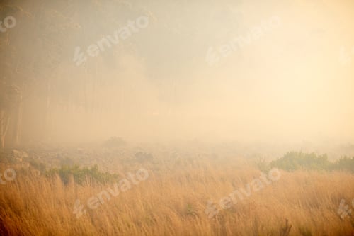 Preview: Where theres smoke, theres fire. Shot of a wild fire burning in the distance.