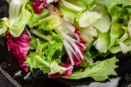 Preview: Salad leaves mixed iceberg, batavia, lettuce, radicchio, romano, frisee appetizer vegetable dish