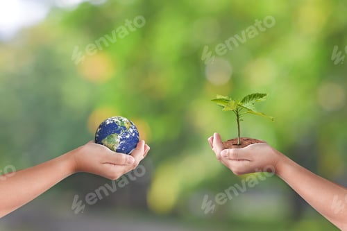 Preview: Hands holding earth globe and tree over green nature background. Saving world Ecology concept