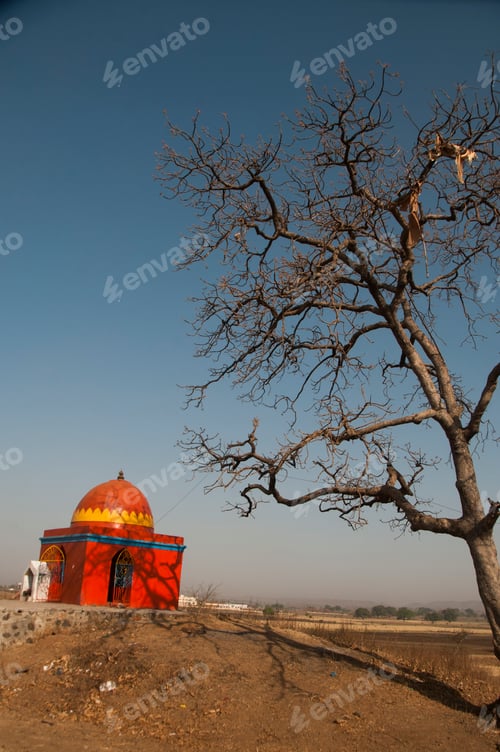 Preview: Autumn forest, Summer Forest,India