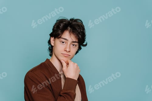 Preview: Thoughtful handsome teenager in brown jacket touching chin makes choice looks at camera stands