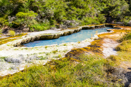 Preview: volcanic activities at waimangu