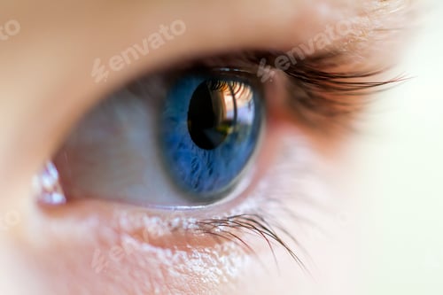 Preview: Close-up image of blue human eye with eyelashes