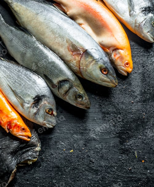 Preview: Sea fish raw.