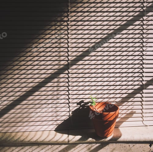 Preview: Window Sill Plant with Shadows