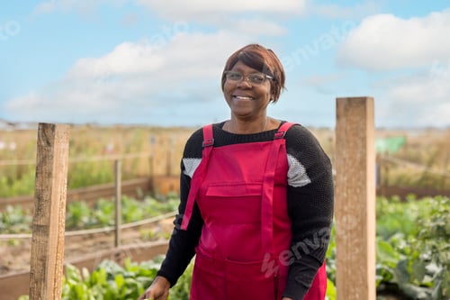 Preview: african senior woman farmer in the field