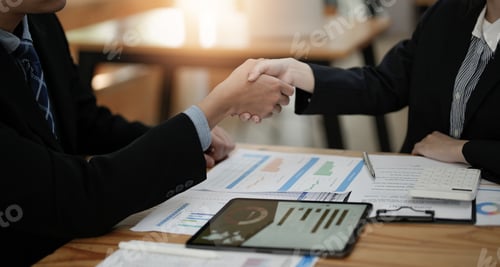 Preview: Two business people shake hands after accepting a business proposal together, a handshake is a