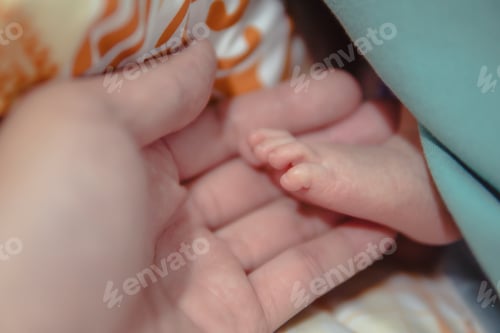 Preview: Parent holding in the hands feet of newborn baby, The love and generosity of a mother for her child.