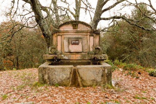 Preview: Old stone fountain in garden
