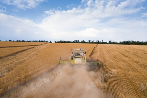 Preview: Aerial top view of combine harvester working on wheat field