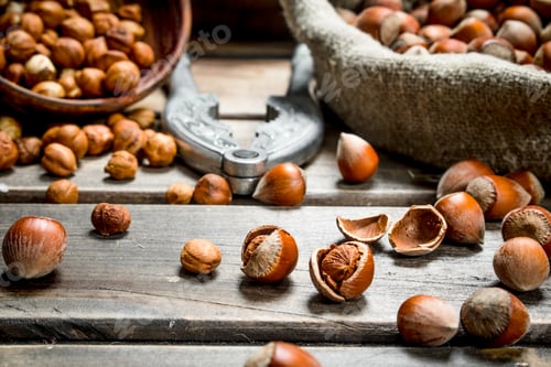 Preview: Hazelnuts in the shell.