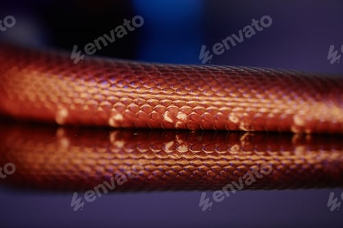 Preview: Part of body of brown rat snake creeping forwards over flat surface