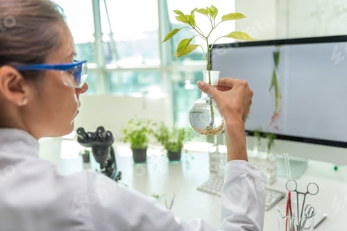Preview: Scientist doing research on plants
