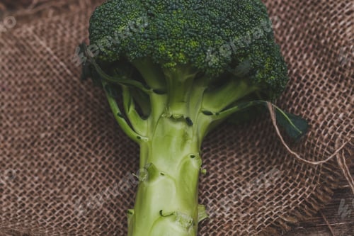 Preview: Broccoli on the table